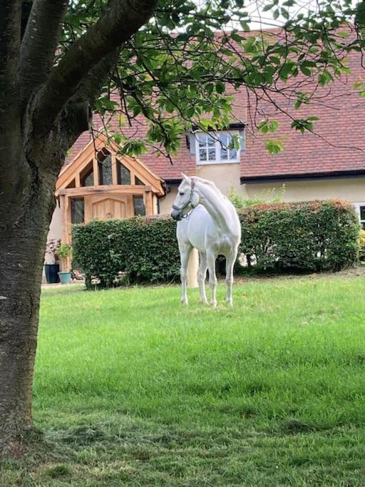 2 Beds & Living In Our Idyllic Country Cottage ベドフォード エクステリア 写真